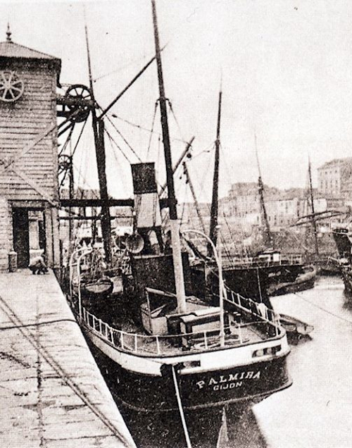 Palmira - Colección L. Santa Olaya Palmira - Colección L. Santa Olaya